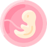 Embryo Transfer